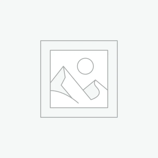 אבנים משתלבות בסיסיות 10X10